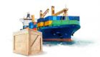 أرقام مشرقة لـ"موانئ أبوظبي".. قفزة في العائدات