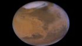 صور "مسبار الأمل" للمريخ تحلّق في فضاء "تويتر"