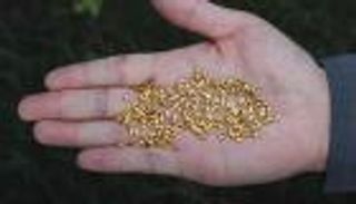 فيديو.. بأمطار من ذهب.. صيني يكافح الإسراف بالتبذير