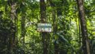  كوستاريكا تفوز بجائزة إيرث شوت المدعومة من إكسبو 2020 دبي