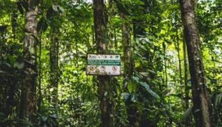  كوستاريكا تفوز بجائزة إيرث شوت 