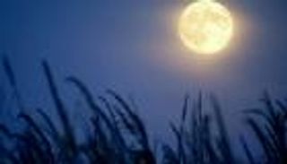 قمر "الصياد" يحرم متابعي زخة شهب الجباريات من الرؤية