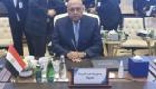 مصر تحدد 4 نقاط لتفعيل خطة لخروج المرتزقة من ليبيا