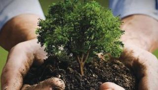 مبادرة "السعودية الخضراء" تستهدف زراعة 10 مليارات شجرة بالمملكة