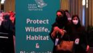 السعودية تطلق 64 مبادرة لحماية البيئة.. "المملكة الخضراء"