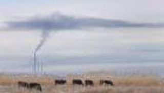 تقنيات سحب الكربون من الهواء.. وسيلتان تدفعان باتجاه هدف 2050