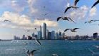 مبادرات الإمارات المناخية لا تنتهي.. دولة الاستدامة