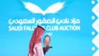 بيع 4 صقور بـ339 ألف ريال في مزاد بالسعودية