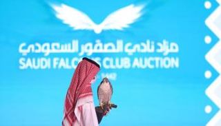 مزاد نادي الصقور السعودي (أرشيفية)