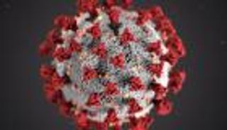 سلالة AY.4.2 من دلتا.. رقعة التفشي تتسع و"الصحة العالمية" تراقب