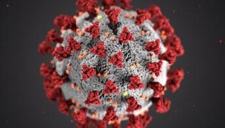 صورة لشكل فيروس كورونا