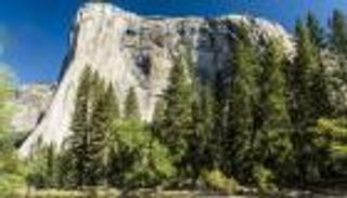 غابات محمية تتحول لمصادر لانبعاث الكربون.. لهذه الأسباب