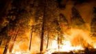 "عائلتي تتلقى علاجا نفسيا".. كاليفورنيا تحرق النفوس