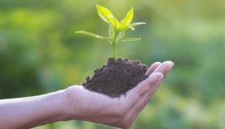 بعض المواد الصديقة للبيئة يمكن تحويلها لسماد يغذي النباتات