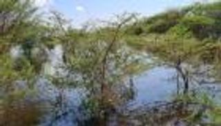 فيضانات تغمر آبار نفط بجنوب السودان.. وتحذير من "كارثة بيئية"