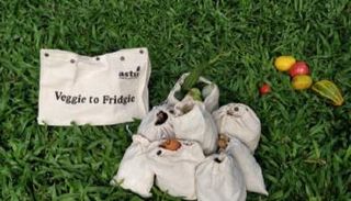 البدائل الخضراء تمثل حلولا فردية لدعم البيئة 