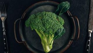 العالم يحتفل باليوم العالمي للخضريين