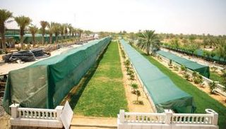 جانب من مبادرات الإمارات للابتكار الزراعي