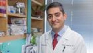 اللحوم والبيض والألبان.. دراسة تربط بين ميكروبيوم وسرطان البروستاتا