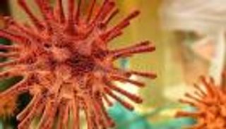 أكثر عرضة للوفاة 32 مرة.. تحذير بريطاني لغير المطعمين بلقاح بكورونا