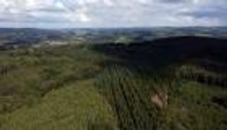 قمة غلاسكو.. أوروبا تتعهد بمليار يورو لحماية غابات العالم