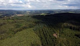 منتزه مورفان الإقليمي الطبيعي في فرنسا