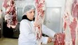 "إنعام" لبنانية تقتحم عالم الجزارة.. قصة عنوانها "القوة والصبر"