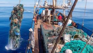 سفن جمع البلاستيك