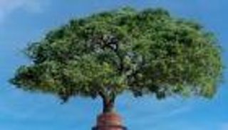 COP26.. أبوظبي تكشف عن 9 مشاريع تدعم مبادرة الإمارات للحياد المناخي