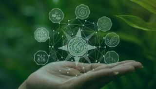 أبوظبي تنفذ خطة شاملة للزراعة الذكية مناخيًا