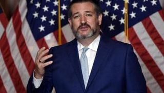 السيناتور الجمهوري الأمريكي تيد كروز - أ.ف.ب