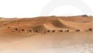 تجربة فريدة.. أطول رحلة على الجمال للوصول إلى إكسبو 2020 دبي