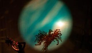  عرض مسرحية الظل طائر النار 