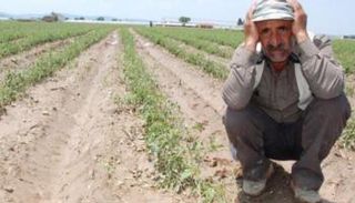 مزارع تركي يندب حظه بسبب أوضاعه المتردية