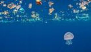 نفايات البلاستيك في المحيط.. وجه خفي لجرائم كورونا