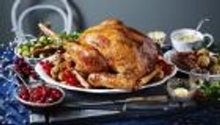 اختفاء الديك الرومي من بنوك الطعام الأمريكية.. لماذا؟