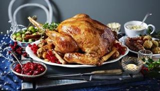 الديك الرومي مع صلصة التوت البري وجبة اساسية في أعياد الشكر