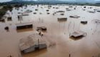 5 وعود عالمية لإنقاذ الأرض إعلان "COP26" بشأن الغابات