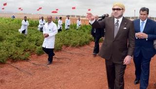 العاهل المغربي الملك محمد السادس - أرشيفية