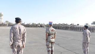 جانب من فعاليات تمرين عسكري سابق بين الإمارات وفرنسا - أرشيفية