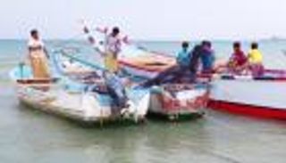 أهازيج الصيادين في اليمن.. أغاني الرزق وحكايات البحر