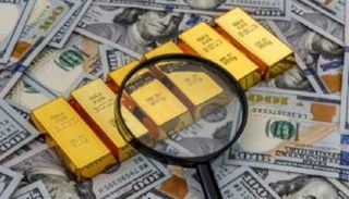 المعدن النفيس يصعد متجاهلا الدولار