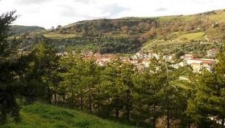 بلدية بوروتا الإيطالية