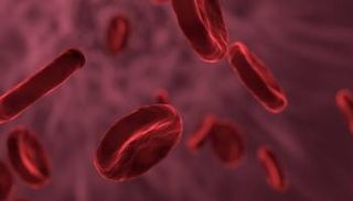 العلاج الجيني يمكنه منع النزيف لدى مرضى الهيموفيليا- أرشيفية