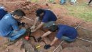 اكتشاف نوع "نادر جداً" من الديناصورات.. لديه منقار وبلا أسنان