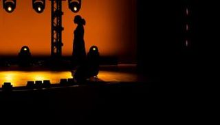 عرض "القمران"