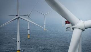 توربينات رياح بحرية في الدنمارك تابعة لشركة فيستاس