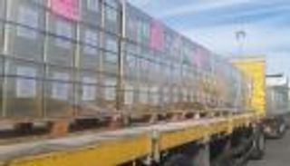  ثمار الاستقرار.. إسرائيل تسهل تصدير زيت الزيتون من غزة