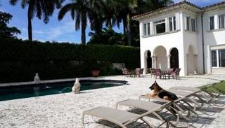  الكلب جانثر السادس داخل قصره