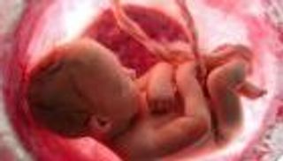 كوريا الجنوبية تسجل أول وفاة لجنين بكورونا